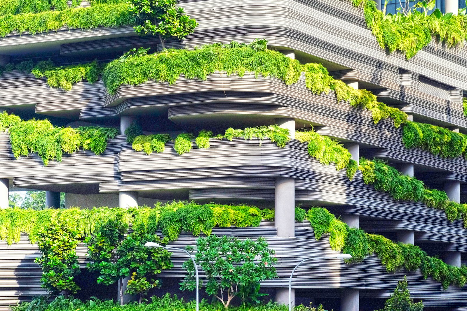 Rios Verdes built riverbank