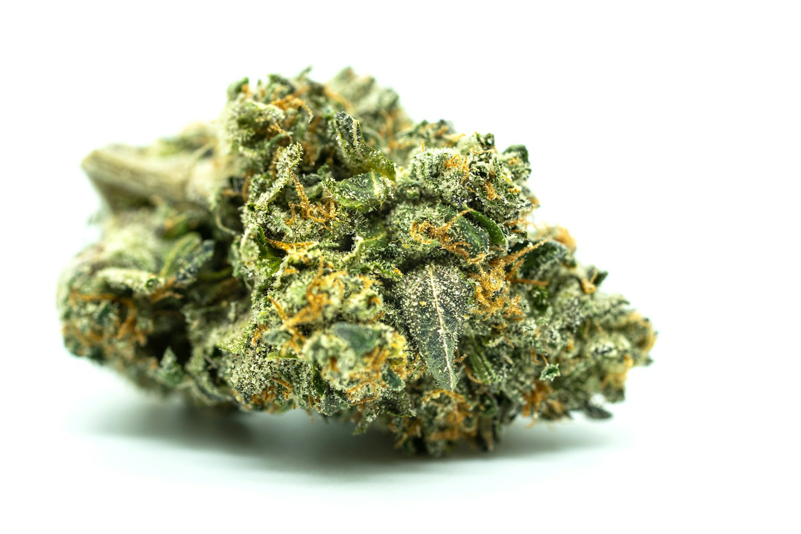 A dried cannabis flower up close
