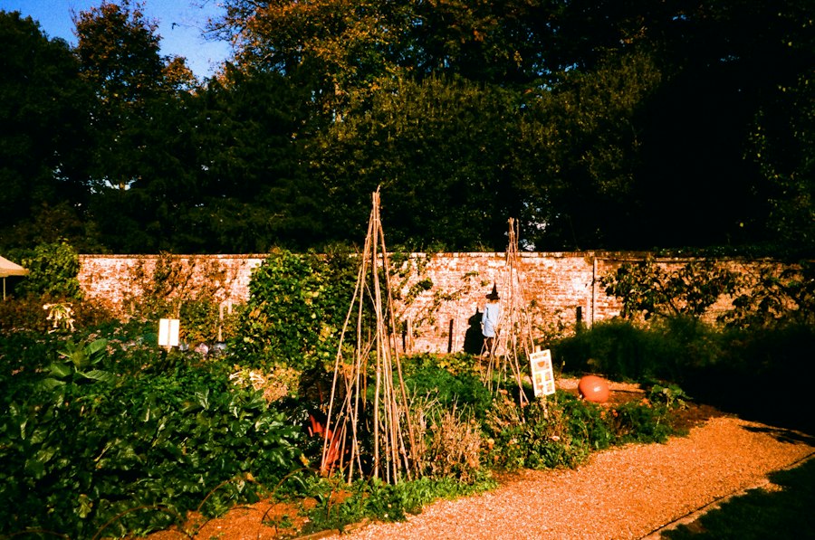 The Walled Kitchen Garden
