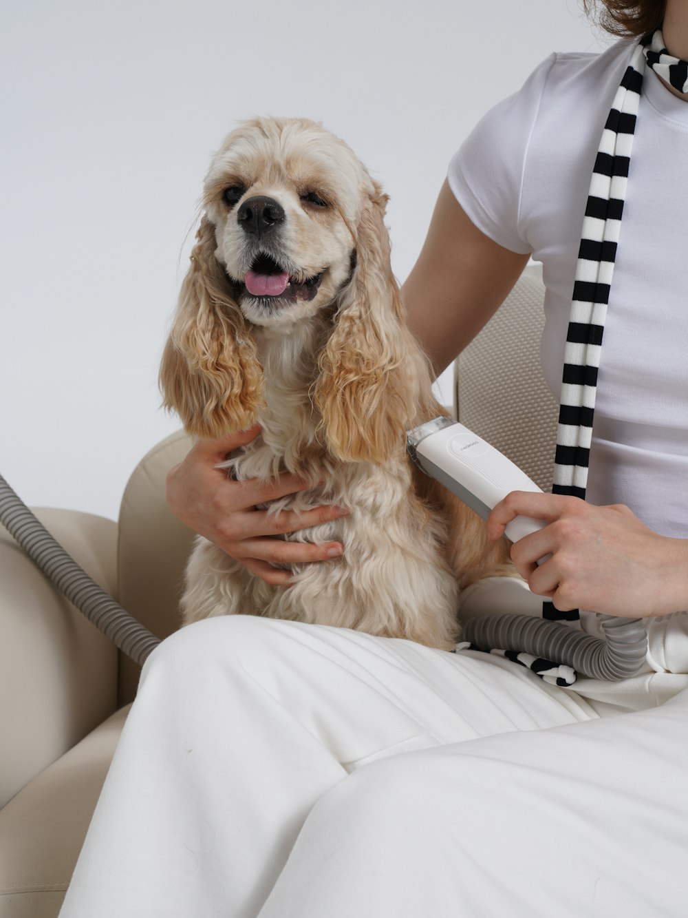 A woman brushing her dog's hair with a hair dryer