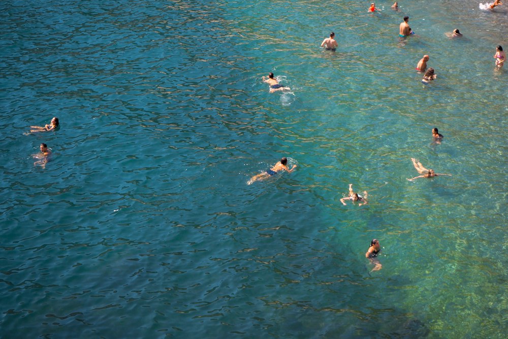 Open water swimmers