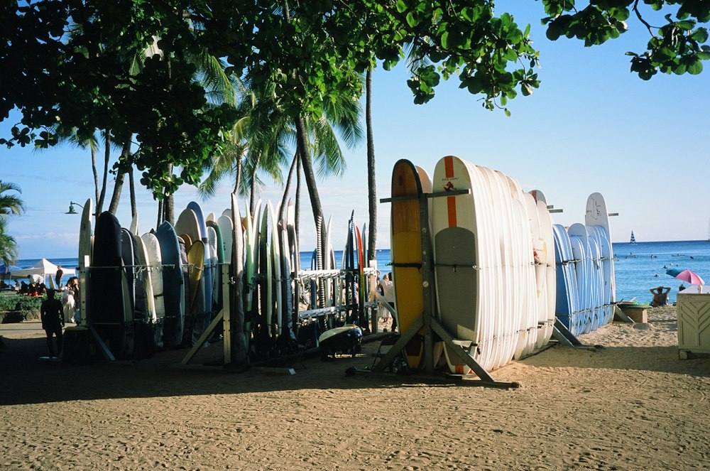 Boards on the beach