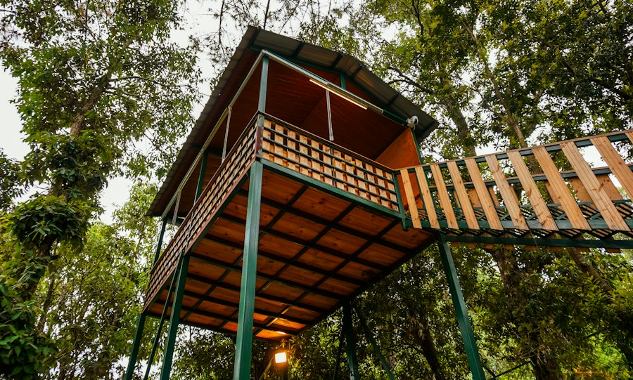 Treehouse