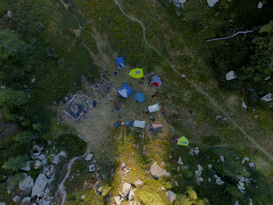 The whole site