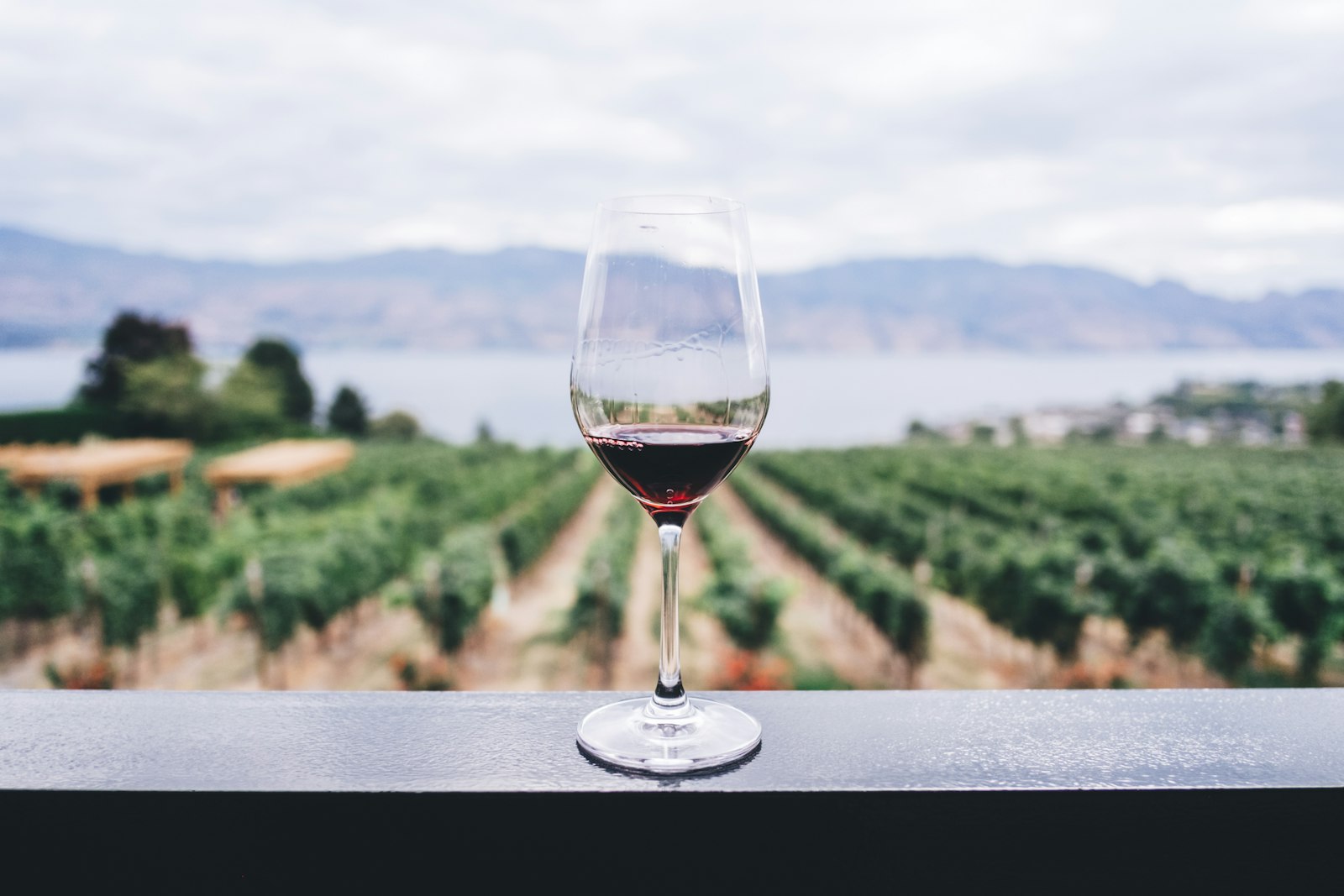 The Coteau cellar